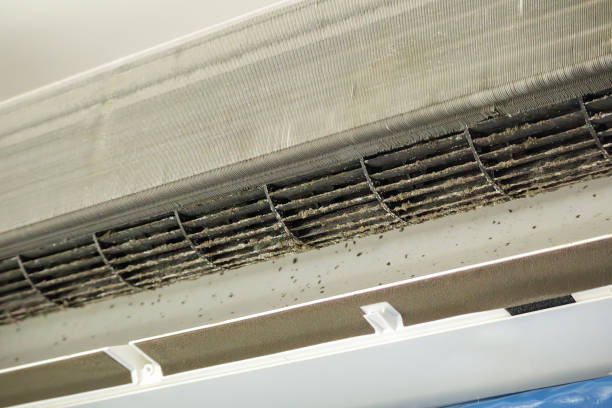 Best HVAC Duct Inspection Services  in Bay Springs, MS
