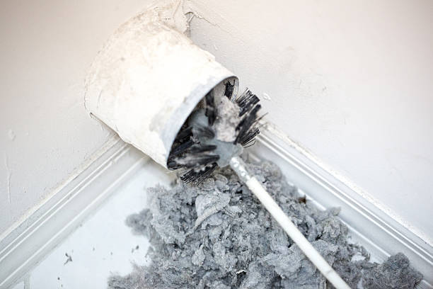 Air Duct Mold Removal in Bay Springs, MS